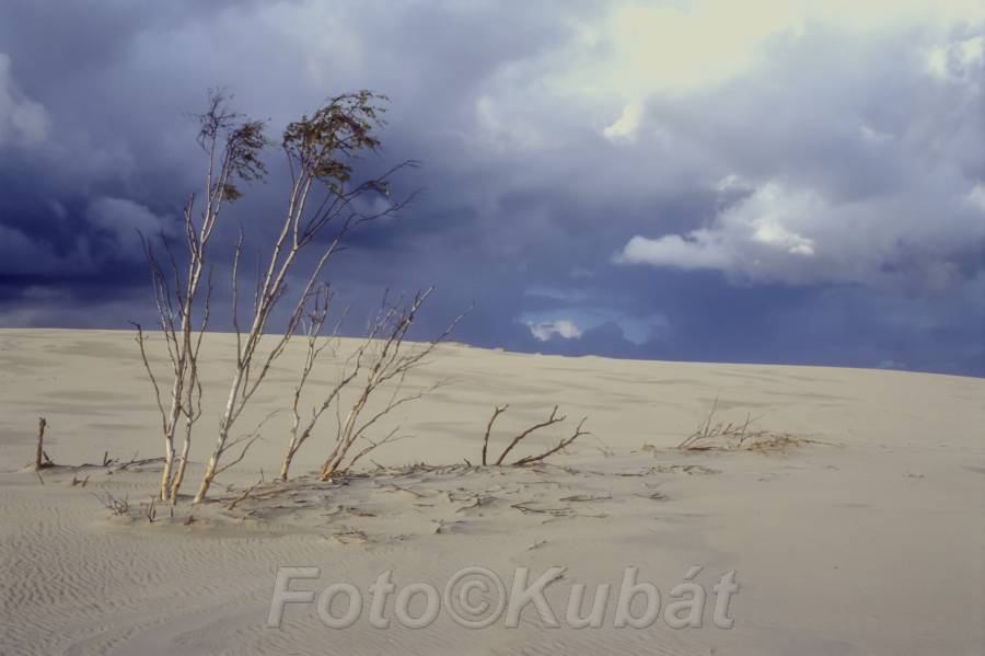 Písečné duny 16.jpg